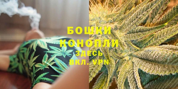ГАЛЛЮЦИНОГЕННЫЕ ГРИБЫ Инсар