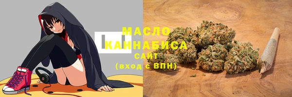 ГАЛЛЮЦИНОГЕННЫЕ ГРИБЫ Инсар