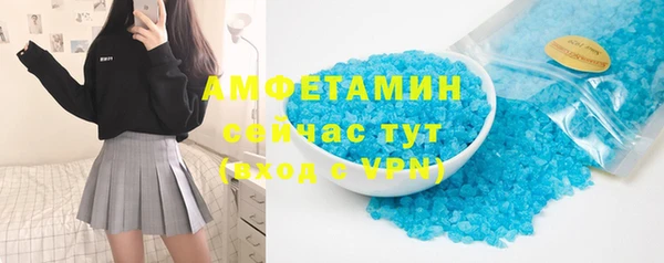 ГАЛЛЮЦИНОГЕННЫЕ ГРИБЫ Инсар