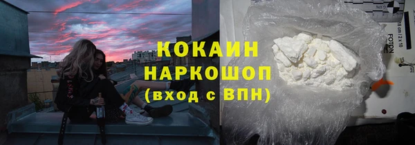 ГАЛЛЮЦИНОГЕННЫЕ ГРИБЫ Инсар