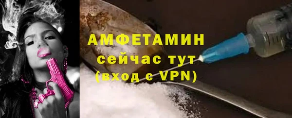 ГАЛЛЮЦИНОГЕННЫЕ ГРИБЫ Инсар