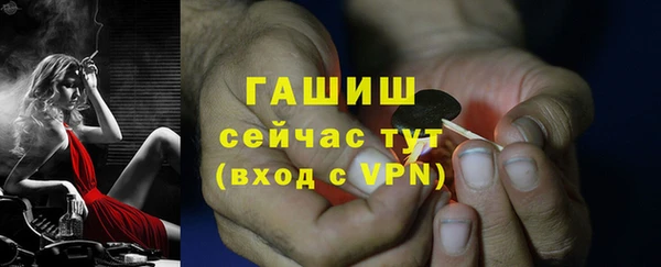 ГАЛЛЮЦИНОГЕННЫЕ ГРИБЫ Инсар