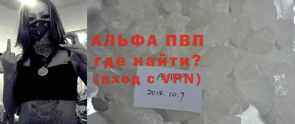 ГАЛЛЮЦИНОГЕННЫЕ ГРИБЫ Инсар