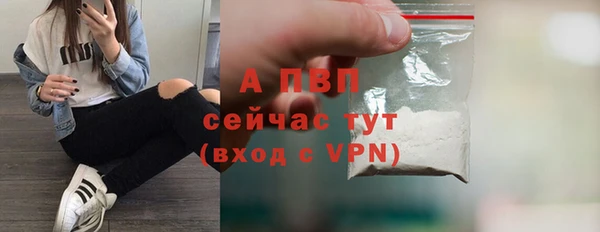 ECSTASY Инта