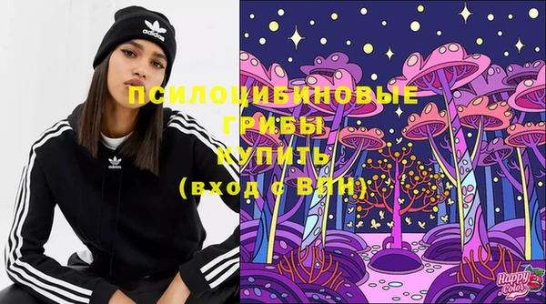 ГАЛЛЮЦИНОГЕННЫЕ ГРИБЫ Инсар