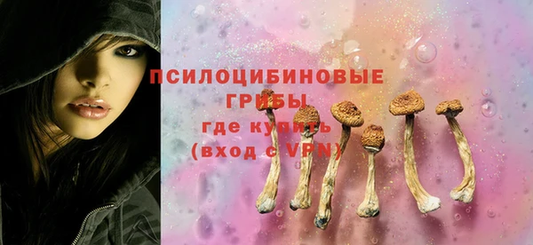 ГАЛЛЮЦИНОГЕННЫЕ ГРИБЫ Инсар