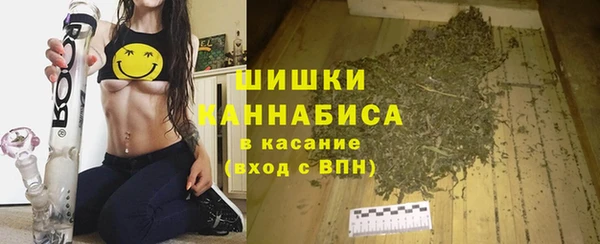 ГАЛЛЮЦИНОГЕННЫЕ ГРИБЫ Инсар